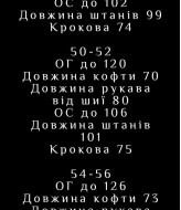 Спортивный костюм мужской на флисе  LSA-751A650