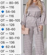 Шовковий костюм EY-747A22B24