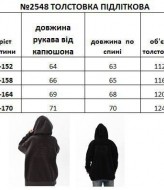 Толстовка флисовая EV-2548A650