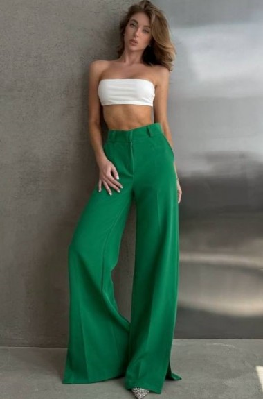 Класичні брюки MPK-179A420