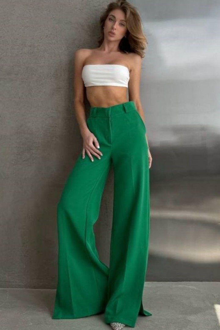 Класичні брюки MPK-179A420