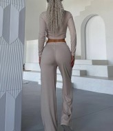 Костюм брюки и топ WA-132A480