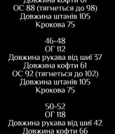 Прогулочный костюм двойка LSA-768A580