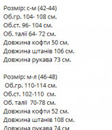 Велюровый костюм двойка VM-10530A530