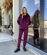 Велюровий спортивний костюм MD-230A499