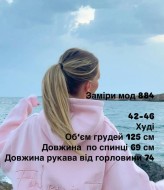 Женское худи с надписью BAC-884A850