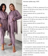 Велюровый домашний костюм тройка  ANA-1675A19