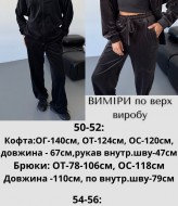 Велюровый костюм на молнии  JAV-802.5502A700