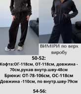 Спортивный велюровый костюм  JAV-804.5504A700