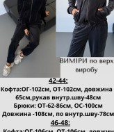 Спортивный велюровый костюм  JAV-804.5504A700