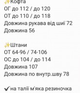 Спортивный флисовый костюм RAB-697A759