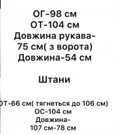 Костюм кофта и брюки NON-134A1400