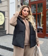 Костюм с жилеткой женский теплый  AB-1831A18B17