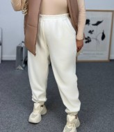 Спортивні штани AB-1773A8