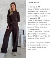 Костюм однотонный ANA-1701A14