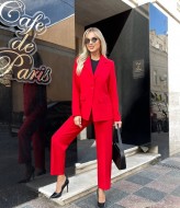 Женский брючный деловой костюм ANA-1613A18