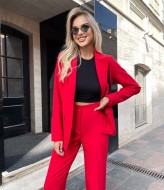 Женский брючный деловой костюм ANA-1613A18