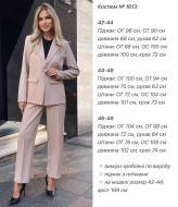 Женский брючный деловой костюм ANA-1613A18 Женский брючный деловой костюм ANA-1613A18