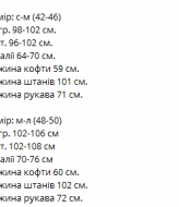 Велюровый костюм с лампасами VM-10505A590