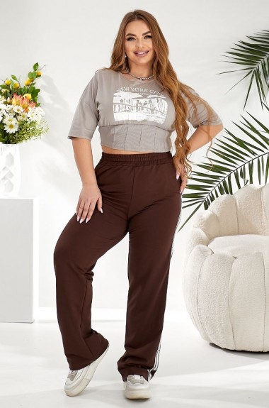 Спортивні штани ELR-4026A550