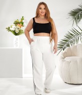 Трикотажные спортивные штаны  ELR-4026A550