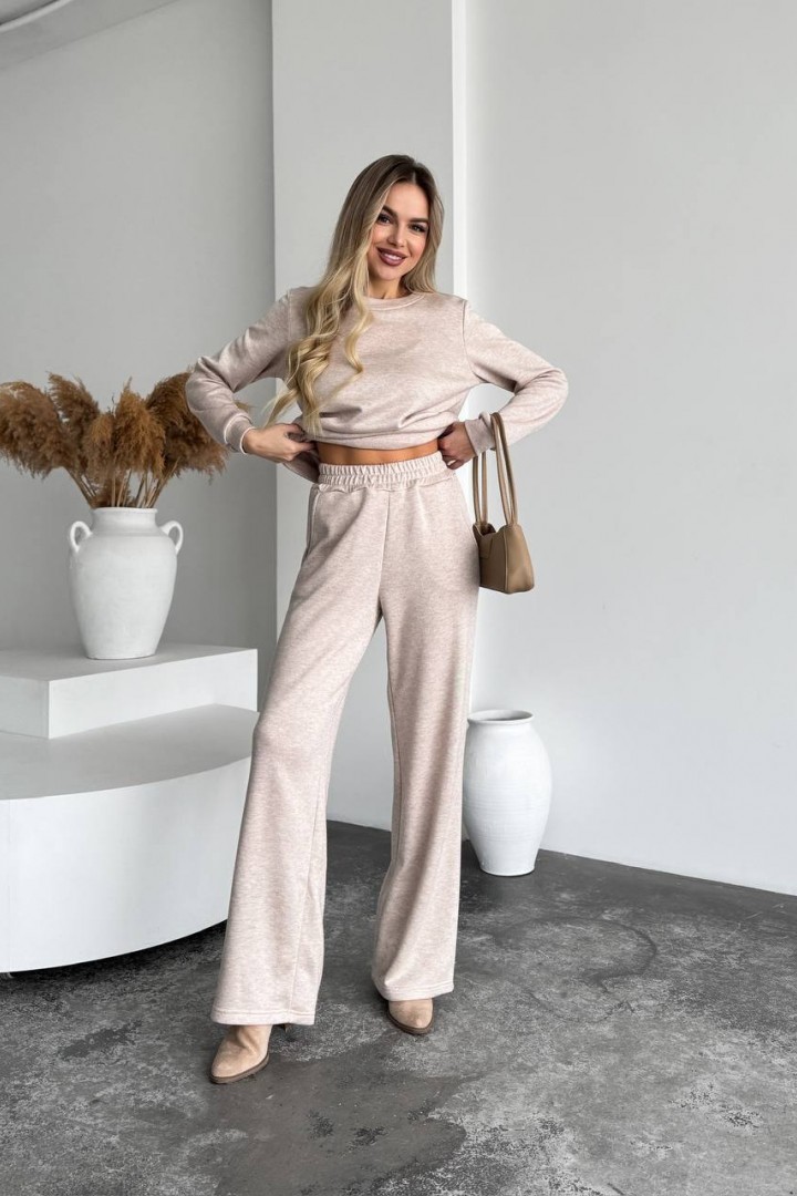 Костюм двойка кофта и брюки SABI-015A650