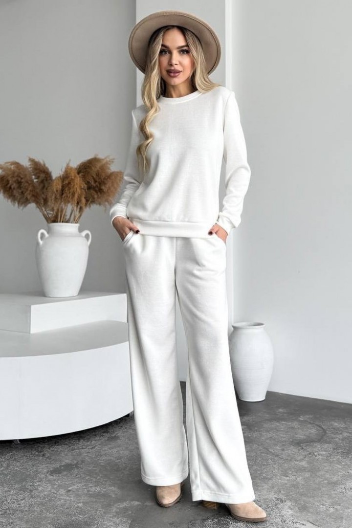 Костюм двойка кофта и брюки SABI-015A650