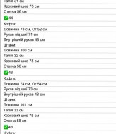 Замшевый брючный костюм SABI-505A750