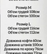 Комфортный костюм двойка SABI-218A700