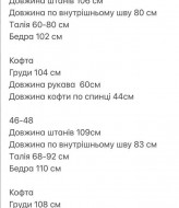 Велюровый костюм NUL-727A730