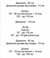 Костюм из плащевки SSY-052A1100