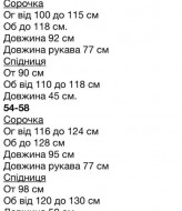 Рубашка с юбкой   INS-456A1100