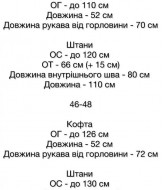 Спортивный костюм велюр женский  SSY-016A590