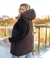 Тонкий жилет с капюшоном  ANT-219A790