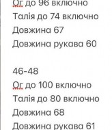 Элегантный женский пиджак INNA-754A650