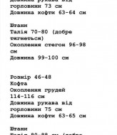 Флисовый женский спортивный костюм WA-111A550