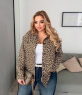 Сорочка Лео AB-1779A15