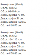 Спортивный костюм VM-10534A480