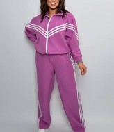 Прогулочный костюм двойка AD-7946.1A470