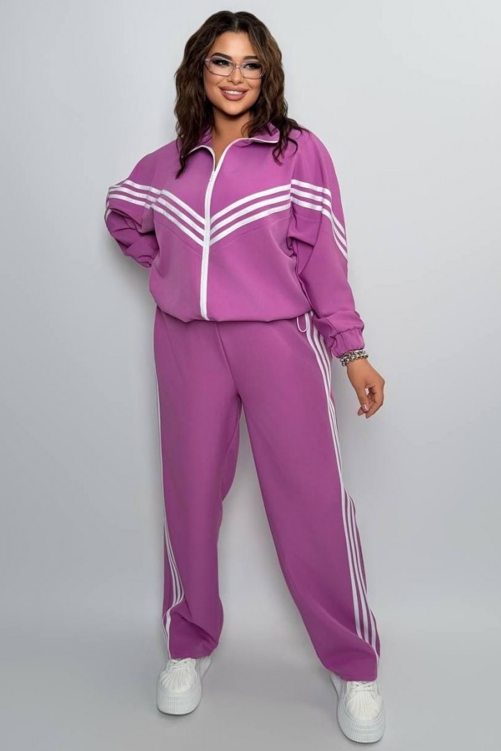 Прогулочный костюм двойка AD-7946.1A470