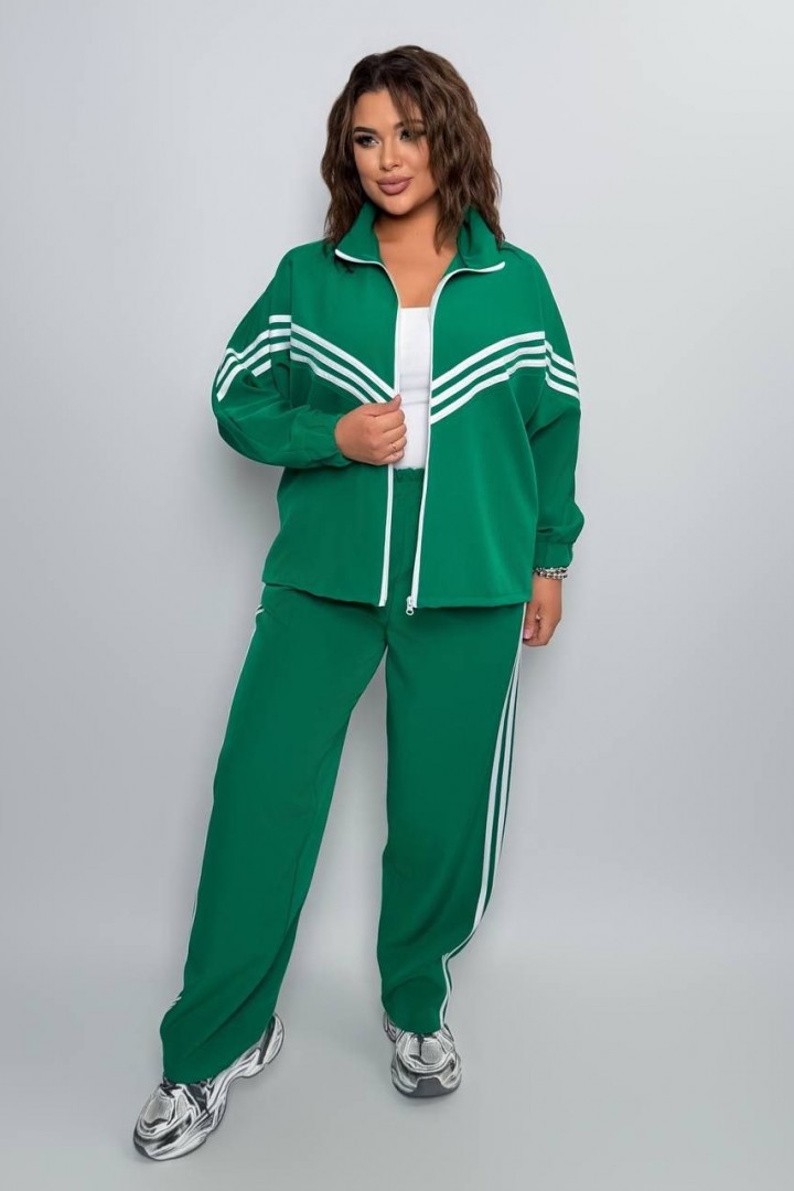 Прогулочный костюм двойка AD-7946.1A470