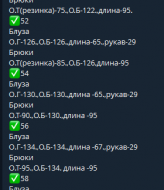 Блуза с накатом DOL-239A420