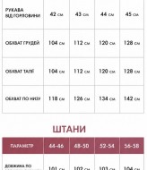 Прогулянковий жіночий костюм з лампасами VOJ-344A900