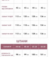 Стильный костюм в спортивном стиле VOJ-348A850