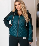 Теплый прогулочный костюм женский LZ-M1172A950