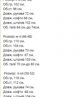 Женский спортивный костюм теплый  VM-10429A430