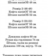 Велюровый спортивный костюм IND-2052A500