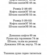 Спортивный костюм женский велюровый  IND-2053A500