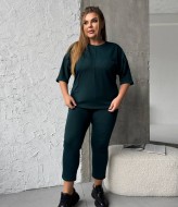 Брючный трикотажный костюм NOB-25010A430