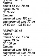 Замшевый брючный костюм IND-1058A550